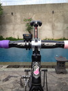 Pink X Purple Cinelli Mash Histogram photo