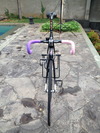 Pink X Purple Cinelli Mash Histogram photo