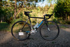 Cinelli Mash Histogram 2012 photo