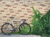 Cinelli Mash Histogram 2014 photo