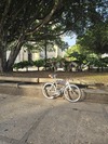 Cinelli Mash Histogram 2014 photo Cinelli Mash Histogram 2014 photo
