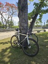 Cinelli Mash Histogram 2014 photo Cinelli Mash Histogram 2014 photo