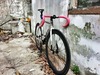 Cinelli Mash Histogram 2014 SINGAPORE photo