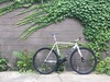 Cinelli Mash Histogram photo