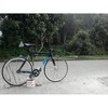 Cinelli Mash Histogram 50cm photo