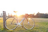 Cinelli Mash Histogram {SOLD} photo