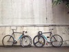 Cinelli Mash Histogram by @NFCrews photo