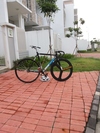 Cinelli Mash Histogram by @NFCrews photo