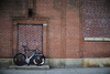 Cinelli mash histogram NYC photo