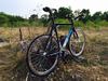 Cinelli Mash Histogram (Thailand) photo