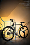 Cinelli Mash Histogram Yellow / Thailand photo