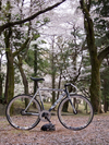 Cinelli MASH JPNxHI photo