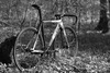 Cinelli Mash Parallax 2014 photo