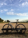 Cinelli Mash Parallax photo