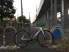 Cinelli Mash Parallax photo