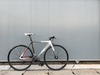 Cinelli Mash Parallax photo