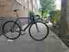 CINELLI MASH PARALLAX photo