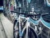 Cinelli Mash Parallax photo