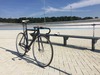 Cinelli Mash Parallax Charcoal photo