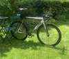 Cinelli Mash Parallax (Cursed) photo