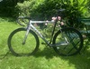 Cinelli Mash Parallax (cursed) photo