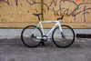 Cinelli MASH Parallax Cyanotype photo