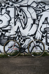 Cinelli Mash Parallax Optical 54 photo