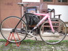 cinelli mash pink photo