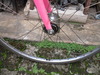 cinelli mash pink photo