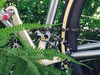 Cinelli Mash Work photo