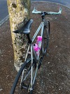 Cinelli Mash Work photo