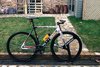 Cinelli parallax 2014 medium photo