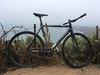 Cinelli Parallax photo