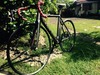 Cinelli mash parallax ''Black & Gray'' photo