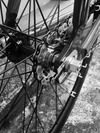 Cinelli mash parallax ''Black & Gray'' photo