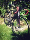 Cinelli mash parallax ''Black & Gray'' photo