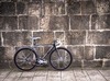 Cinelli Mash Parallax photo