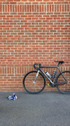 Cinelli Parallax Charcoal photo