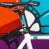 Cinelli Parallax Custom Pantone frame photo