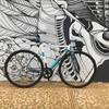 Cinelli Parallax Custom Pantone frame photo