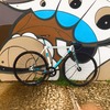 Cinelli Parallax Custom Pantone frame photo