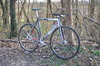 Cinelli Parallax Optical 2014 photo