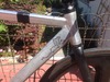 Cinelli prototype photo