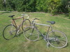 Cinelli Super Corsa Ladies bike photo