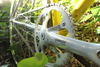 Willy's Cinelli Super Corsa Pista 1973 photo