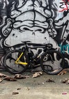 Cinelli Vigorelli Black is Black photo
