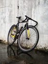 Cinelli Vigorelli Black is Black photo