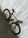 Cinelli Vigorelli Black is Black photo