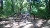 Cinelli Vigorelli Red Hook London LTD photo