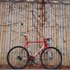 Cinelli Vigorelli rhc (vigarelli) photo